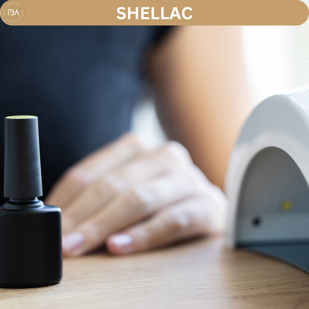 SHELLAC KURS 1 TAG